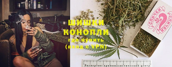 ECSTASY Абаза